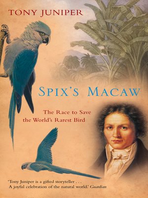 cover image of Spix's Macaw